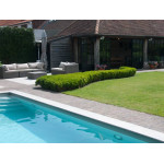 Borde de piscina - Belgian Bluestone - PERSONALIZADO