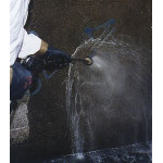 GraffiGuard 2010 - Speciale Spectra graffiti reiniger - Guard Industrie