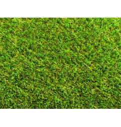 合成草皮 - 伊维萨