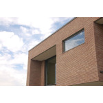 Thrombozyten Septem 8012 Sand violett