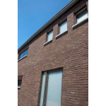 Thrombozyten Septem 8025 Land nicht sand braun