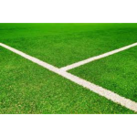 Footcal - Прослеживая белые линии - Кармёз Footcal - Прослеживая белые линии - Кармёз
