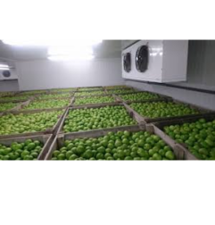 Fruitcal - Conservation fruits & légumes - Carmeuse