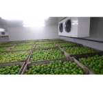 Fruitcal - Conservation fruits & légumes - Carmeuse Fruitcal - Conservation fruits & légumes - Carmeuse